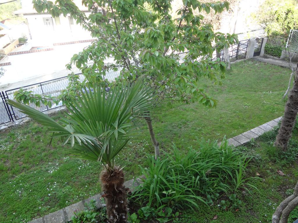 סטאר דויירן Apartments 64 מראה חיצוני תמונה